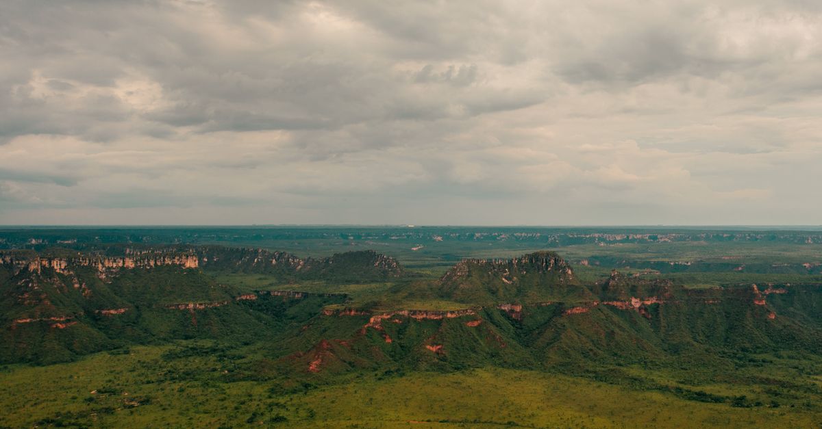 Roteiros
